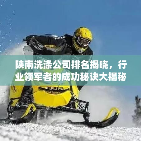 陕南洗涤公司排名揭晓,行业领军者的成功秘诀大揭秘!