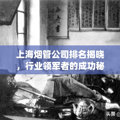 上海烟管公司排名揭晓，行业领军者的成功秘诀探究