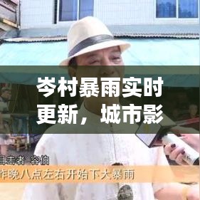 岑村暴雨实时更新，城市影像下的暴雨应对之策视频曝光