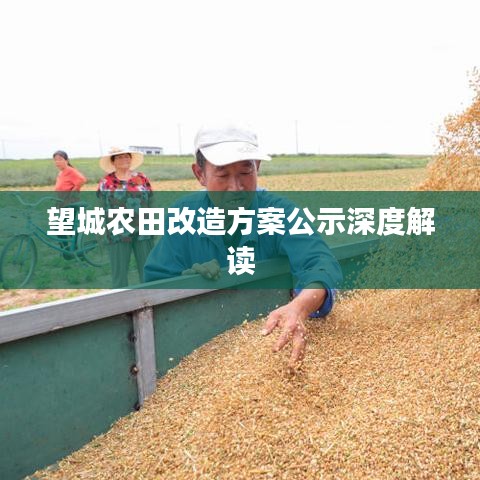 望城农田改造方案公示深度解读