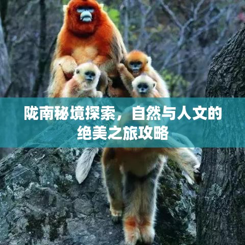 陇南秘境探索，自然与人文的绝美之旅攻略