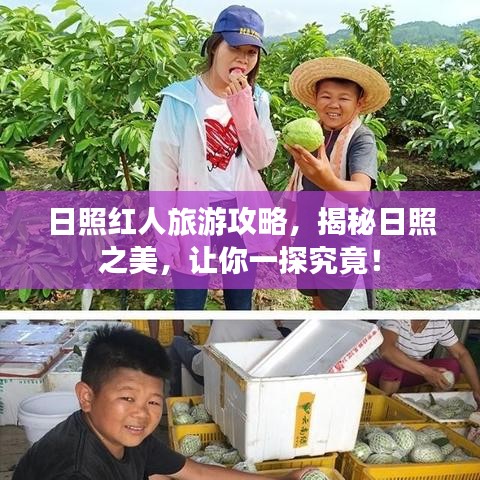 日照红人旅游攻略，揭秘日照之美，让你一探究竟！