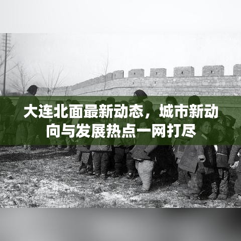 大连北面最新动态，城市新动向与发展热点一网打尽