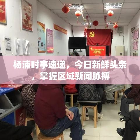 杨浦时事速递，今日新鲜头条，掌握区域新闻脉搏