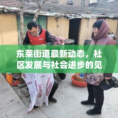 东莱街道最新动态,社区发展与社会进步的见证
