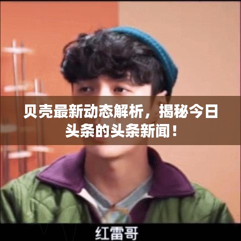 贝壳最新动态解析,揭秘今日头条的头条新闻!