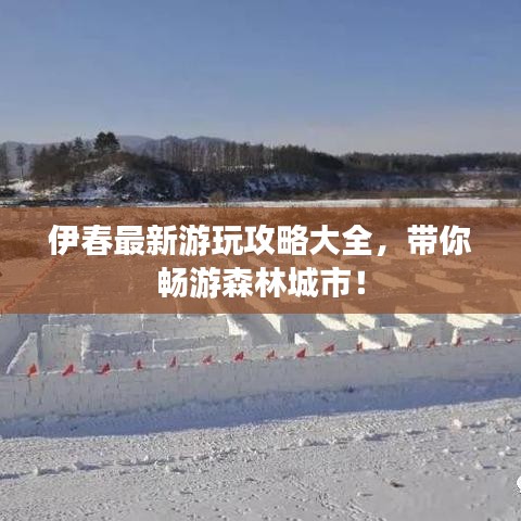 伊春最新游玩攻略大全，带你畅游森林城市！