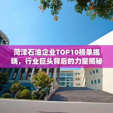 菏泽石油企业TOP10榜单揭晓，行业巨头背后的力量揭秘