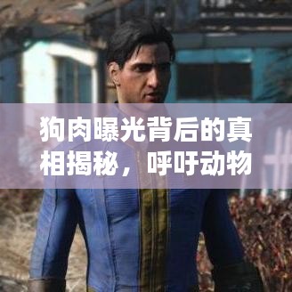 狗肉曝光背后的真相揭秘，呼吁动物保护意识的行动视频汇总