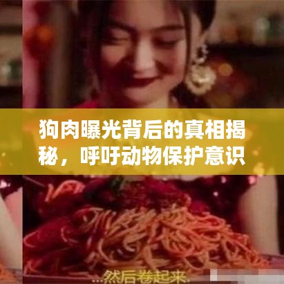 狗肉曝光背后的真相揭秘,呼吁动物保护意识的行动视频汇总