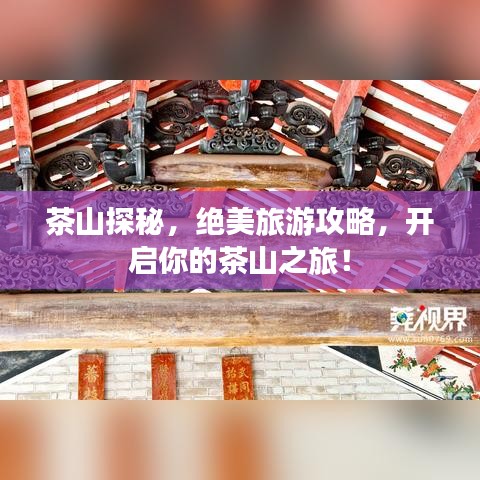 茶山探秘，绝美旅游攻略，开启你的茶山之旅！