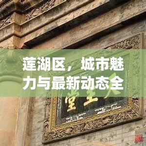 莲湖区，城市魅力与最新动态全揭秘