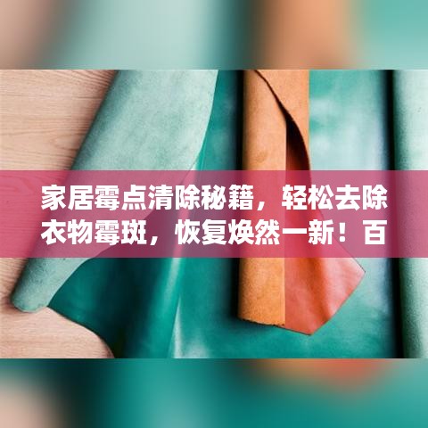 家居霉点清除秘籍，轻松去除衣物霉斑，恢复焕然一新！百度小百科为您解答！