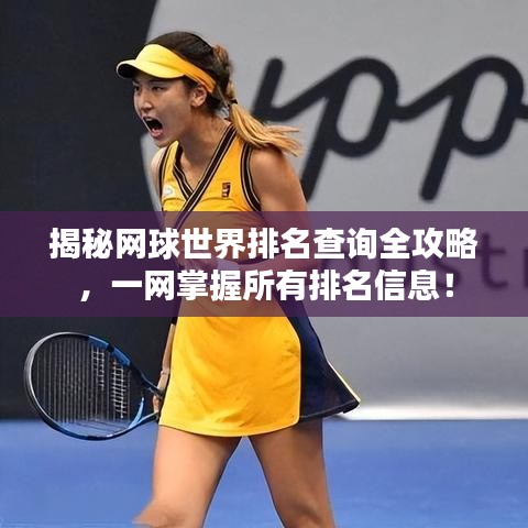 揭秘网球世界排名查询全攻略，一网掌握所有排名信息！