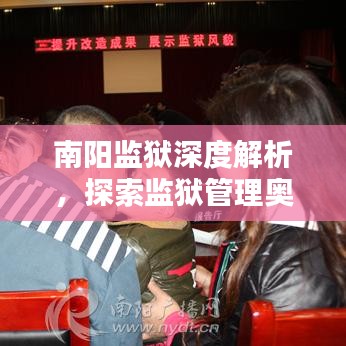 南阳监狱深度解析，探索监狱管理奥秘，全面了解尽在百度！