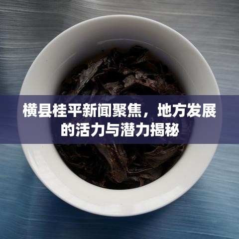 横县桂平新闻聚焦，地方发展的活力与潜力揭秘