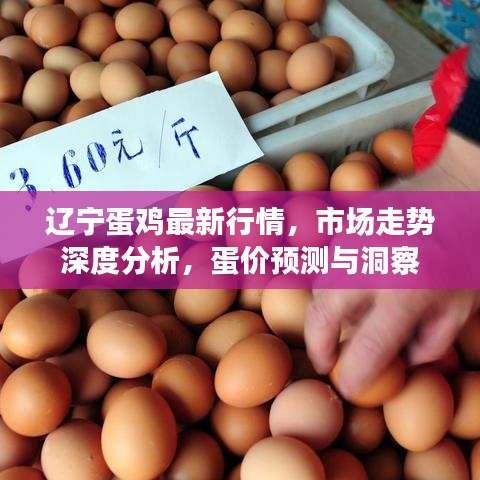 辽宁蛋鸡最新行情，市场走势深度分析，蛋价预测与洞察