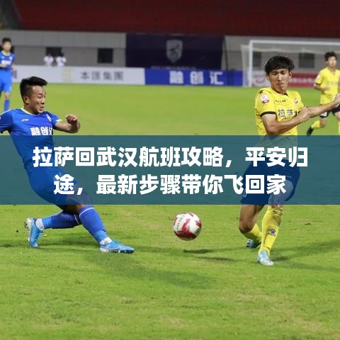 拉萨回武汉航班攻略，平安归途，最新步骤带你飞回家