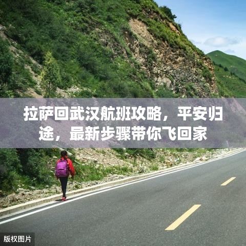 拉萨回武汉航班攻略,平安归途,最新步骤带你飞回家