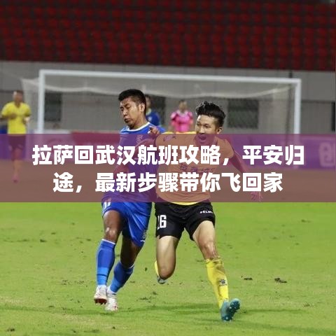 拉萨回武汉航班攻略,平安归途,最新步骤带你飞回家