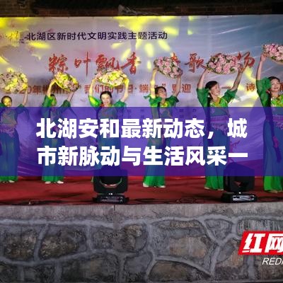 北湖安和最新动态，城市新脉动与生活风采一网打尽