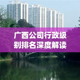广西公司行政级别排名深度解读