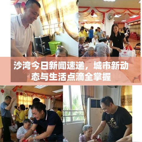 沙湾今日新闻速递，城市新动态与生活点滴全掌握