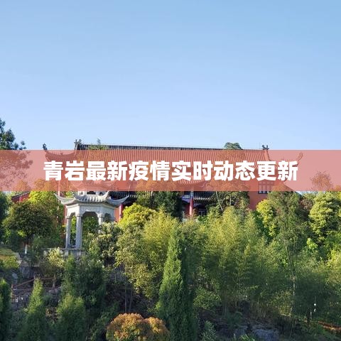 青岩最新疫情实时动态更新
