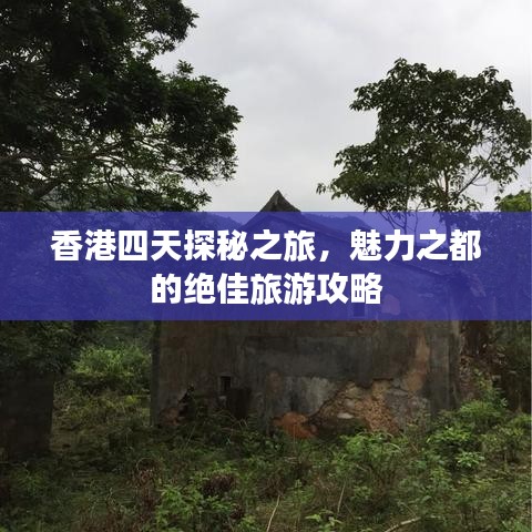 香港四天探秘之旅,魅力之都的绝佳旅游攻略