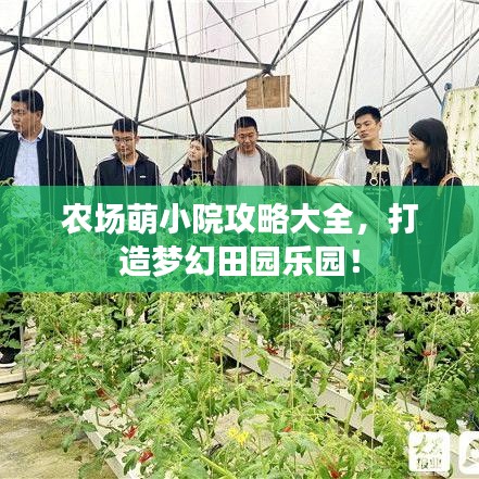 农场萌小院攻略大全，打造梦幻田园乐园！