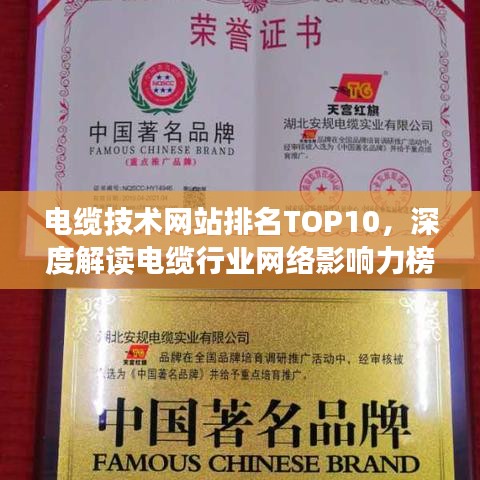 电缆技术网站排名TOP10，深度解读电缆行业网络影响力榜单