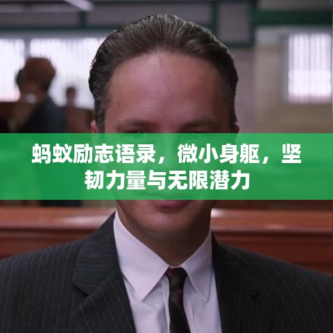 蚂蚁励志语录，微小身躯，坚韧力量与无限潜力