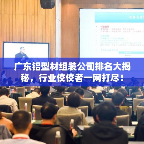 广东铝型材组装公司排名大揭秘，行业佼佼者一网打尽！