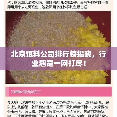 北京饵料公司排行榜揭晓，行业翘楚一网打尽！