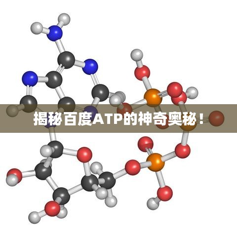 揭秘百度ATP的神奇奥秘！