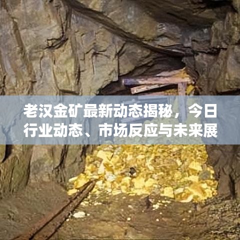 老汉金矿最新动态揭秘，今日行业动态、市场反应与未来展望