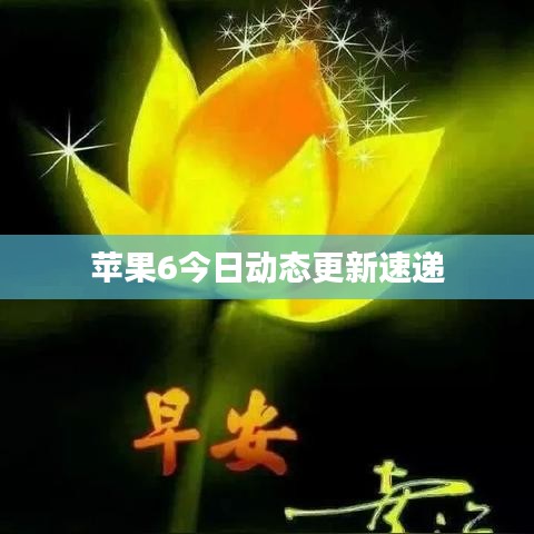 苹果6今日动态更新速递