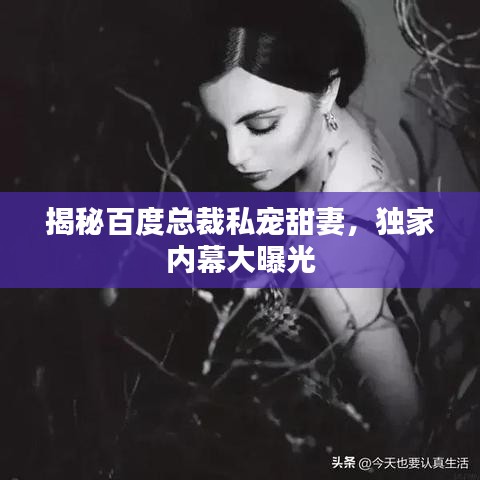 揭秘百度总裁私宠甜妻，独家内幕大曝光