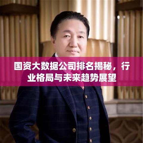 国资大数据公司排名揭秘，行业格局与未来趋势展望