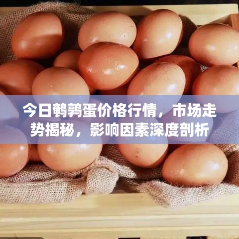 今日鹌鹑蛋价格行情，市场走势揭秘，影响因素深度剖析