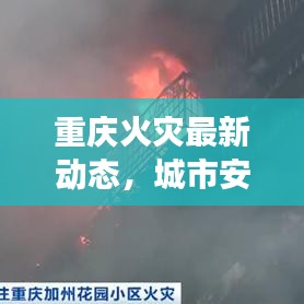 重庆火灾最新动态，城市安全与应急救援面临严峻挑战