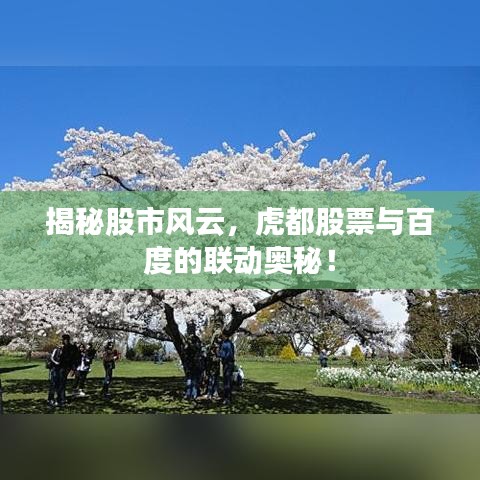 揭秘股市风云，虎都股票与百度的联动奥秘！