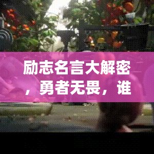 励志名言大解密，勇者无畏，谁说我怕？