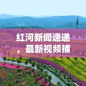 红河新闻速递，最新视频捕捉红河州的动态与生活点滴