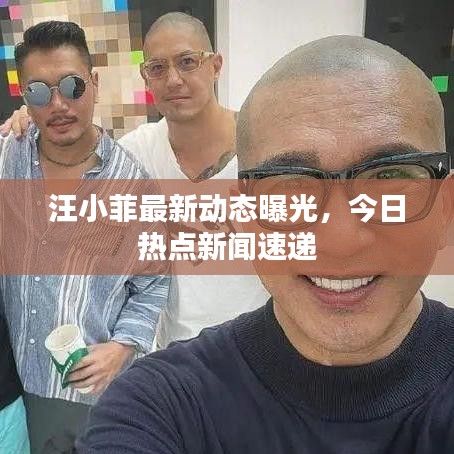 汪小菲最新动态曝光,今日热点新闻速递
