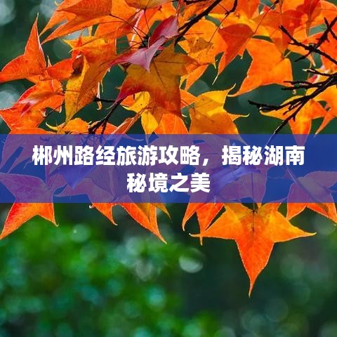 郴州路经旅游攻略,揭秘湖南秘境之美