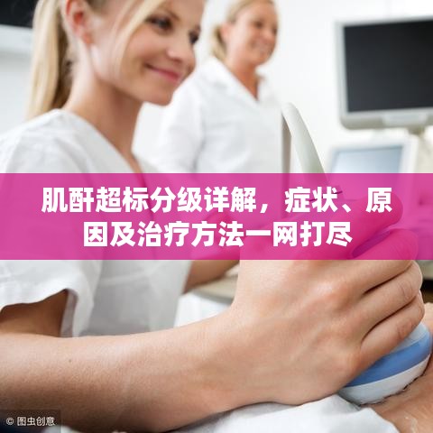 肌酐超标分级详解,症状、原因及治疗方法一网打尽