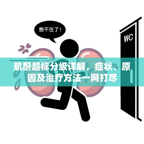 肌酐超标分级详解，症状、原因及治疗方法一网打尽