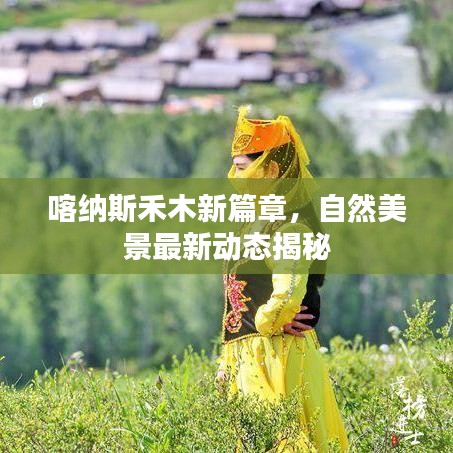 喀纳斯禾木新篇章，自然美景最新动态揭秘