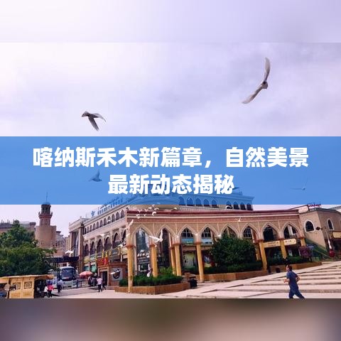 喀纳斯禾木新篇章,自然美景最新动态揭秘